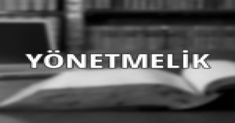 Serbest Bölgeler Uygulama Yönetmeliğinde Değişiklik Yapılmasına Dair Yönetmelik (6.02.2026 t. 33160 s. R.G.)